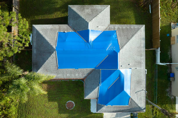 Best Skylight Installation and Repair  in Brooklyn Park, MD