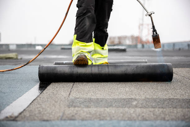 Best Roof Maintenance and Cleaning  in Brooklyn Park, MD